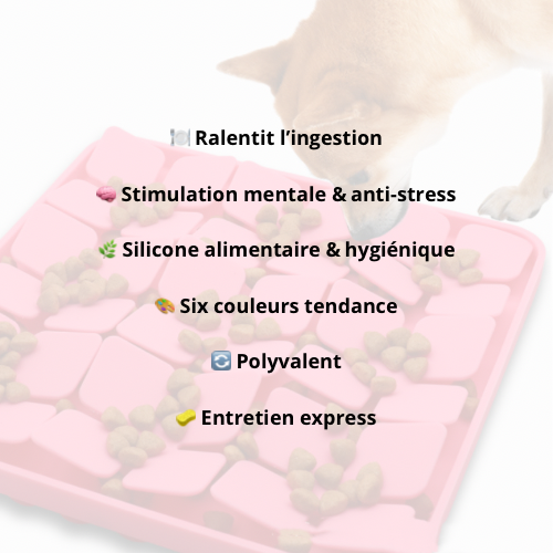 Tapis de Léchage Antiglouton en Silicone - LePetitChat