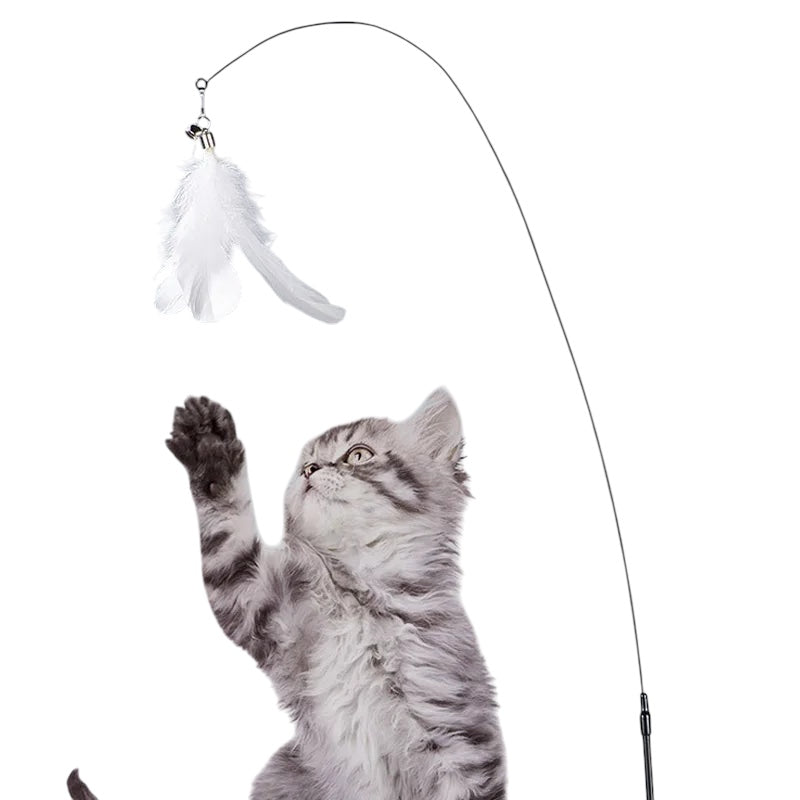 Plume pour Ventouse Interactive - LePetitChat