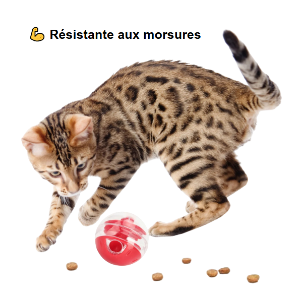 Boule Distributrice de Friandises - LePetitChat