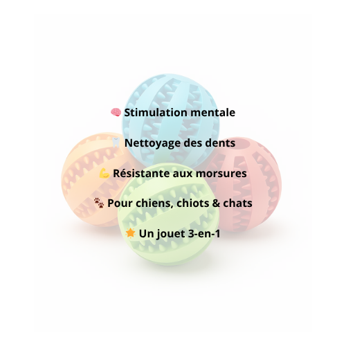 Balle Distributrice de Friandises - Jouet à Mâcher - LePetitChat