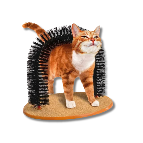 Arc Brosse Auto-Massant - Toilettage et Grattage - LePetitChat