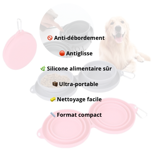 Gamelle Double Pliable avec Tapis Silicone - LePetitChat