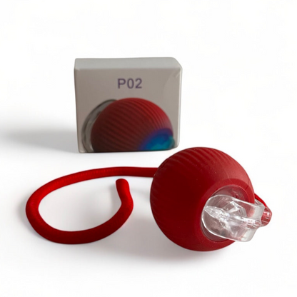 Boule magique avec Lumière Rechargeable jouet chat rouge
