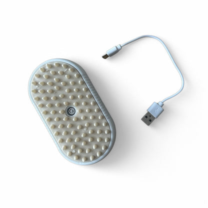 Brosse Vapeur 3-en-1 pour Animaux - LePetitChat