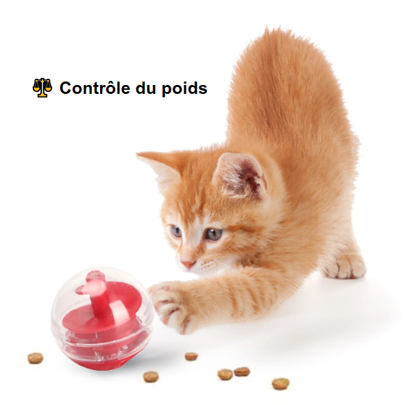 Boule Distributrice de Friandises - LePetitChat