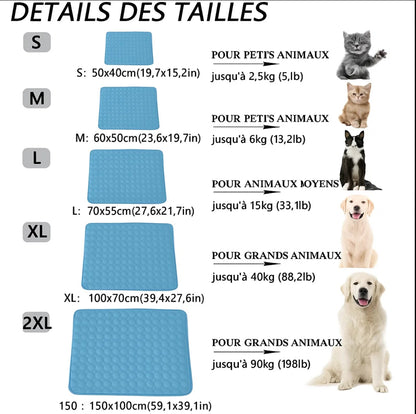 Tapis Rafraîchissant pour Chien - LePetitChat