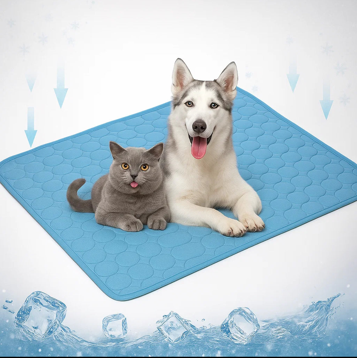 Tapis Rafraîchissant pour Chien - LePetitChat