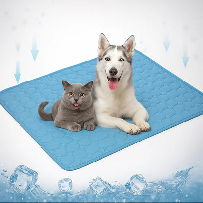 Tapis Rafraîchissant pour Chien - LePetitChat