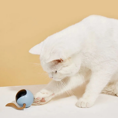 Boule Roulante Automatique avec LED - LePetitChat