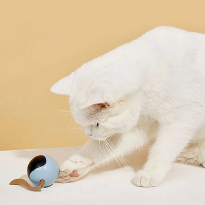 Boule Roulante Automatique avec LED - LePetitChat