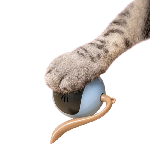 Boule Roulante Automatique avec LED - LePetitChat