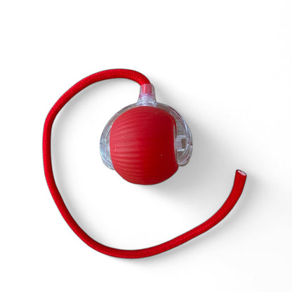 Boule magique avec Lumière - Rechargeable - LePetitChat