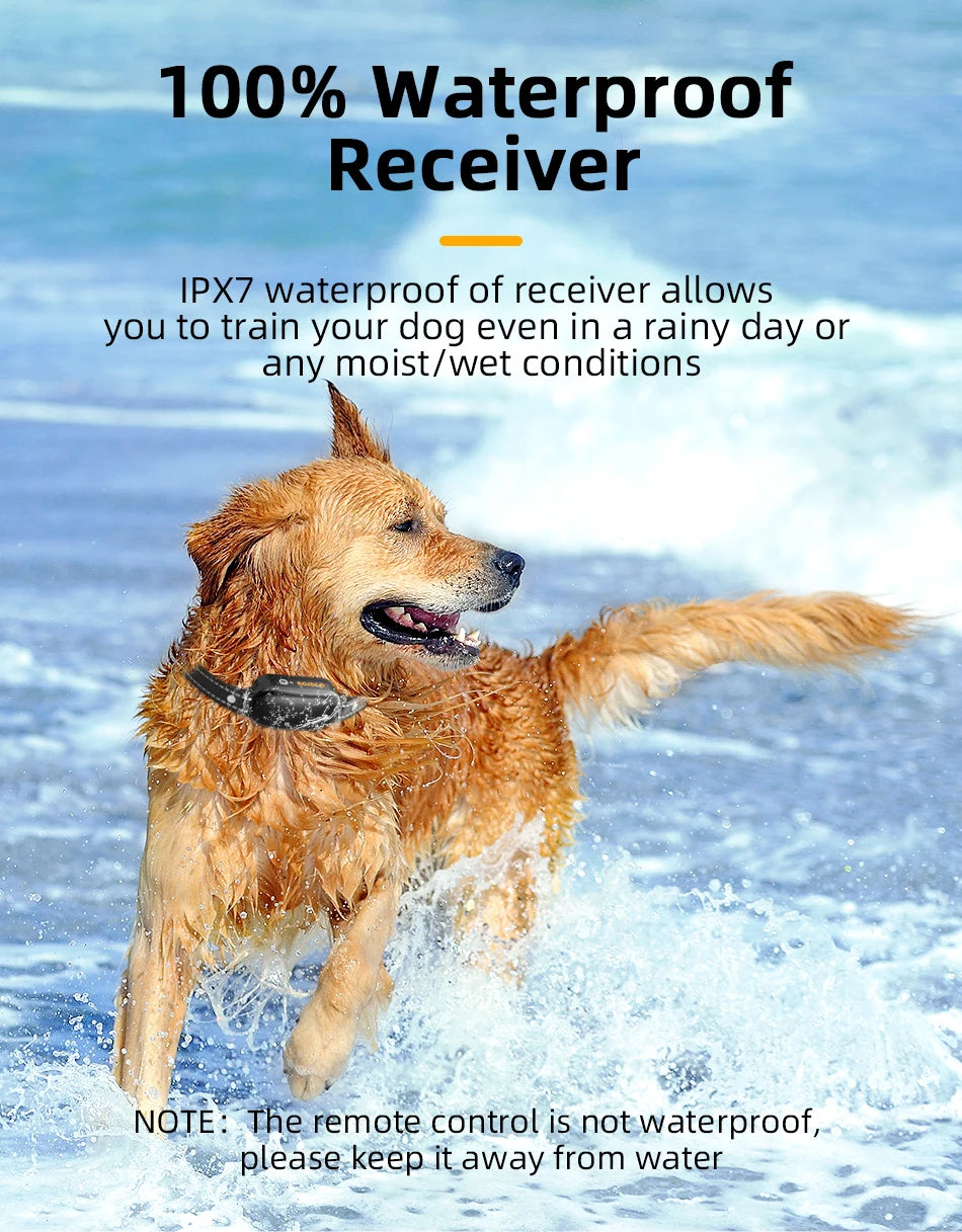 Collier de Dressage Électrique ROJECO – 1000M, Étanche IPX7, Rechargeable - LePetitChat