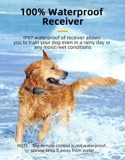 Collier de Dressage Électrique ROJECO – 1000M, Étanche IPX7, Rechargeable - LePetitChat