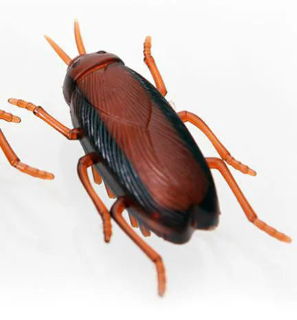 Mini Coccinelle Électrique - LePetitChat