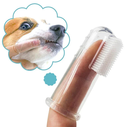Brosse à dents pour animaux – Embout doigt en silicone - LePetitChat