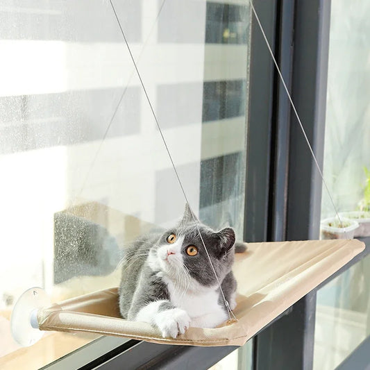 Hamac Suspendu pour Chat – Un Coin de Repos Confortable avec Vue - LePetitChat