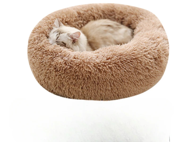 Nid Douillet en Peluche - Coussin Amovible et Lavable - LePetitChat