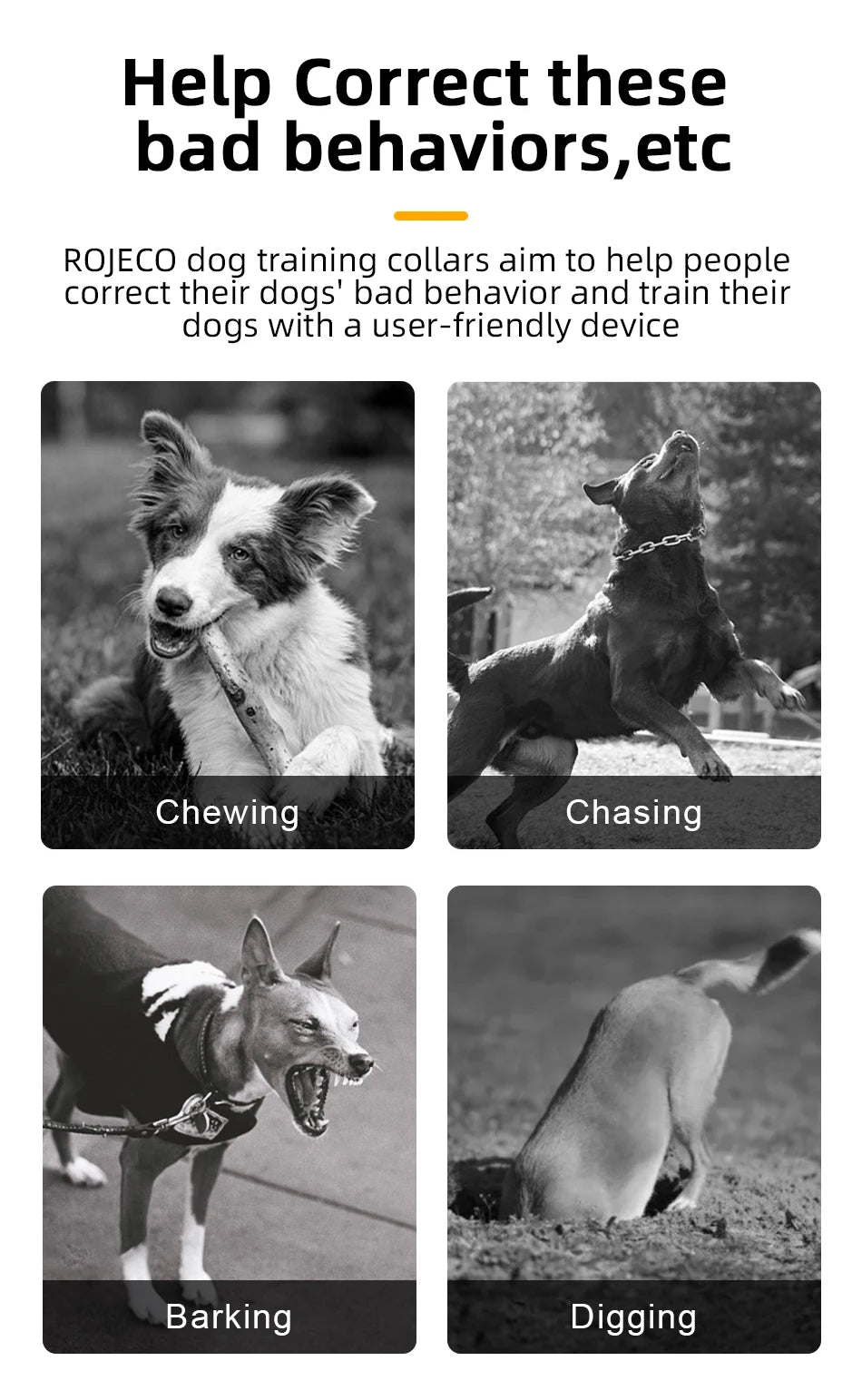 Collier de Dressage Électrique ROJECO – 1000M, Étanche IPX7, Rechargeable - LePetitChat