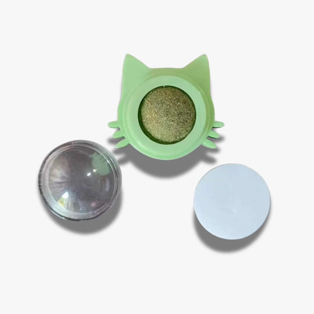 Boule d’Herbe à Chat Colorée - LePetitChat