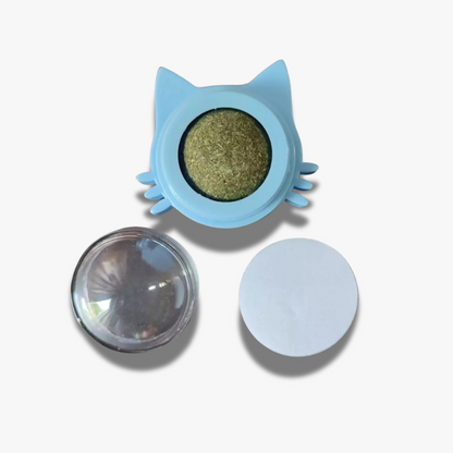 Boule d’Herbe à Chat Colorée - LePetitChat