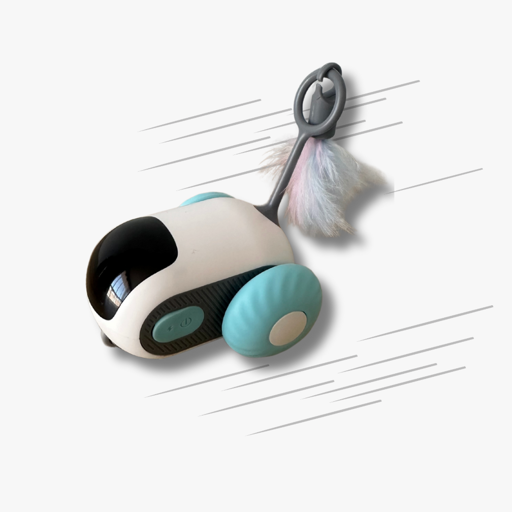 Jouet Voiture Souris Télécommandée - LePetitChat