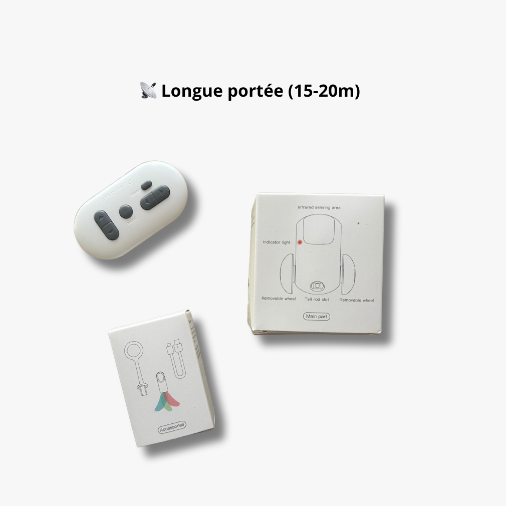 Jouet Voiture Souris Télécommandée - LePetitChat