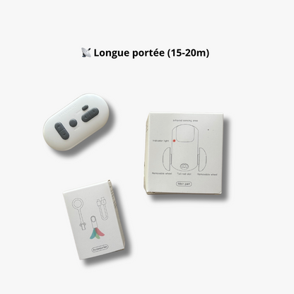 Jouet Voiture Souris Télécommandée - LePetitChat
