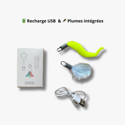 Jouet Voiture Souris Télécommandée - LePetitChat