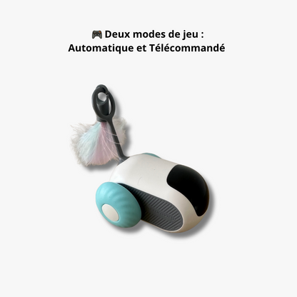Jouet Voiture Souris Télécommandée - LePetitChat