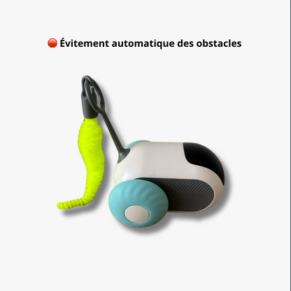 Jouet Voiture Souris Télécommandée - LePetitChat