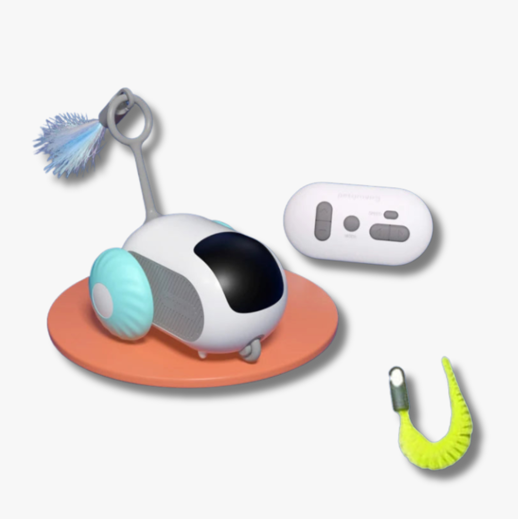 Jouet Voiture Souris Télécommandée - LePetitChat