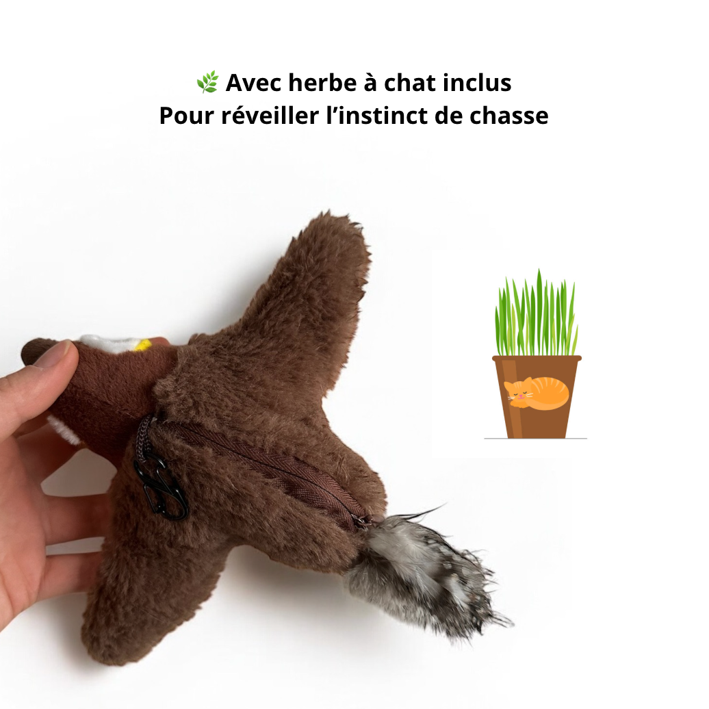 Oiseau Magique Rechargeable avec Herbe à chat - LePetitChat