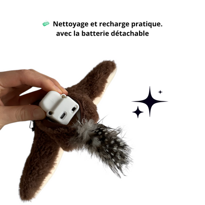 Oiseau Magique Rechargeable avec Herbe à chat - LePetitChat