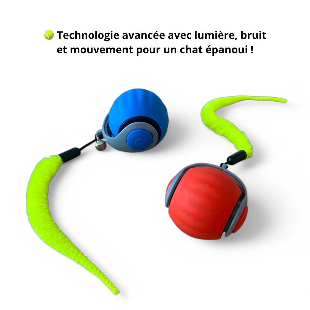 Boule Éclair Premium - Rechargeable - LePetitChat