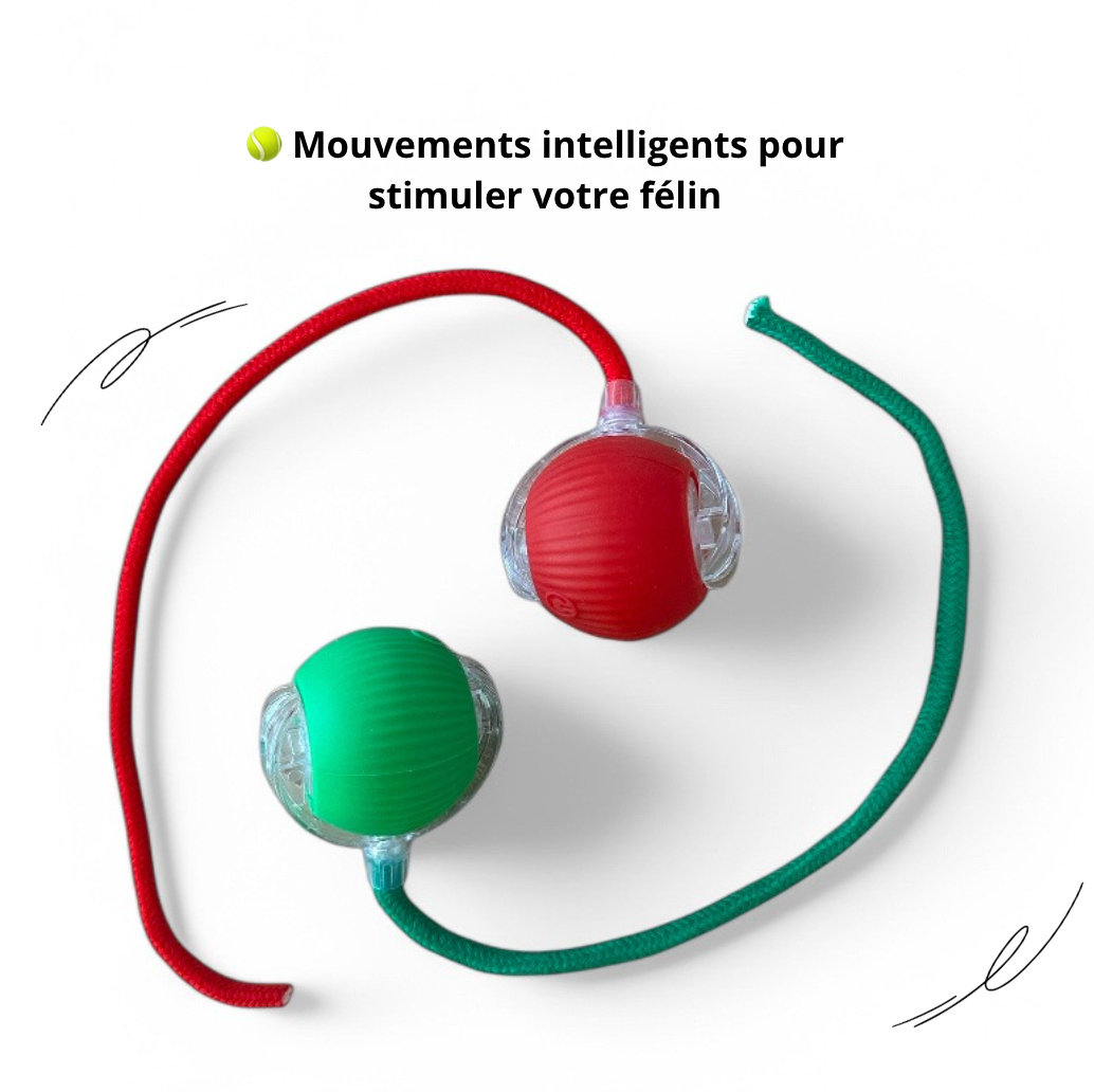 Boule magique avec Lumière Rechargeable jouet chat