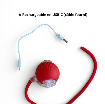 Boule magique avec Lumière - Rechargeable - LePetitChat