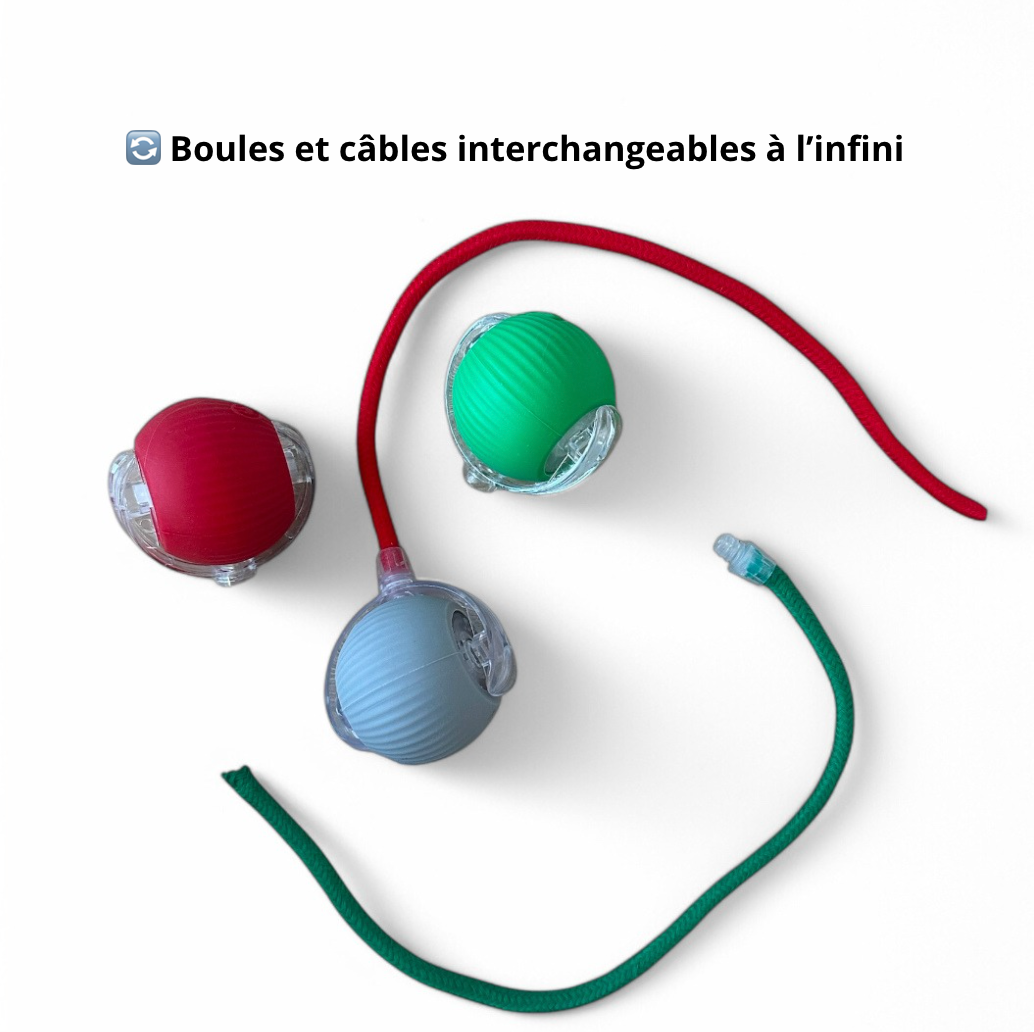 Boule magique avec Lumière - Rechargeable - LePetitChat