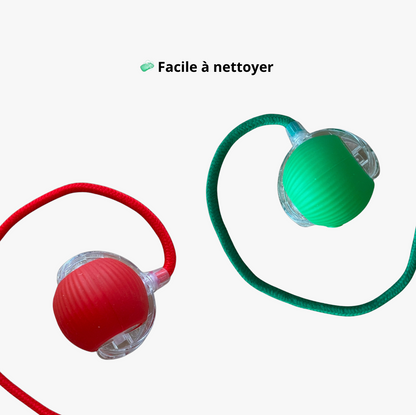 Boule magique avec Lumière - Rechargeable - LePetitChat