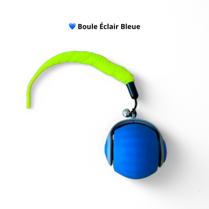 Boule Éclair Premium - Rechargeable - LePetitChat
