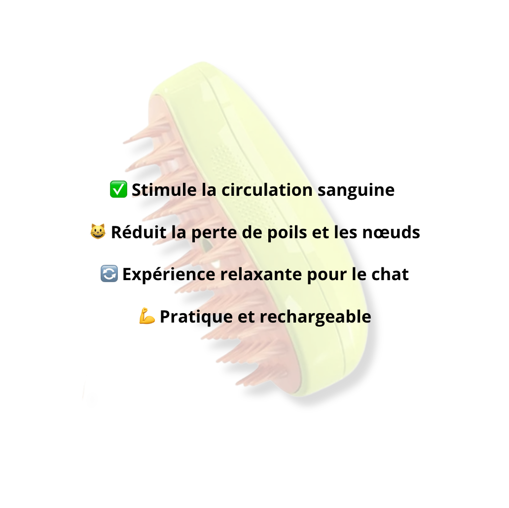 Brosse à vapeur 3-en-1 - LePetitChat