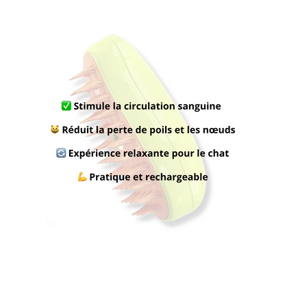 Brosse à vapeur 3-en-1 - LePetitChat