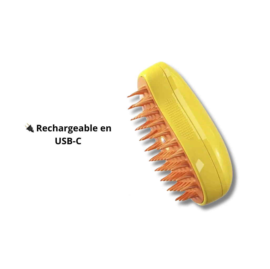 Brosse à vapeur 3-en-1 - LePetitChat