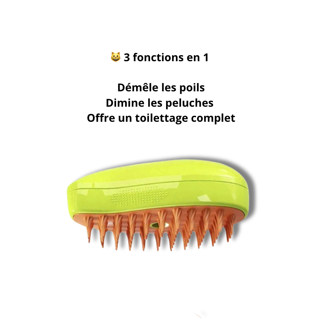 Brosse à vapeur 3-en-1 - LePetitChat