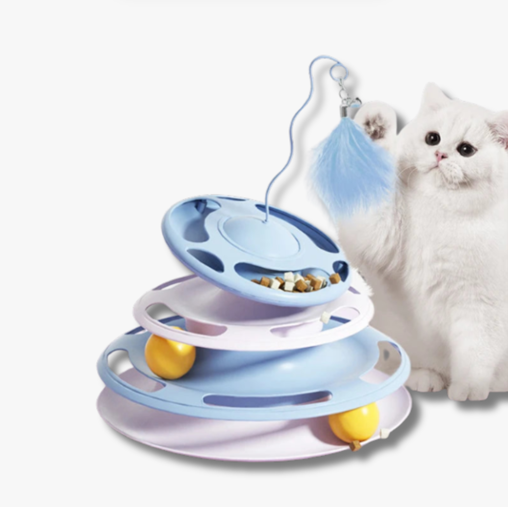 Tour de Jeu Interactive - LePetitChat