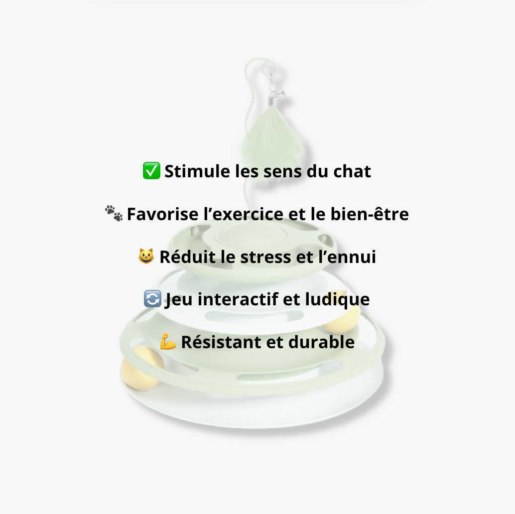 Tour de Jeu Interactive - LePetitChat