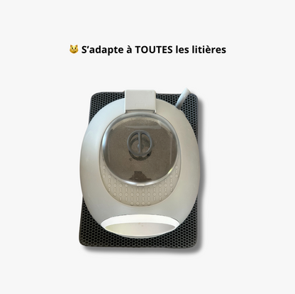 Tapis de Litière pour Chat – Antidérapant, Résistant et Facile à Nettoyer - LePetitChat
