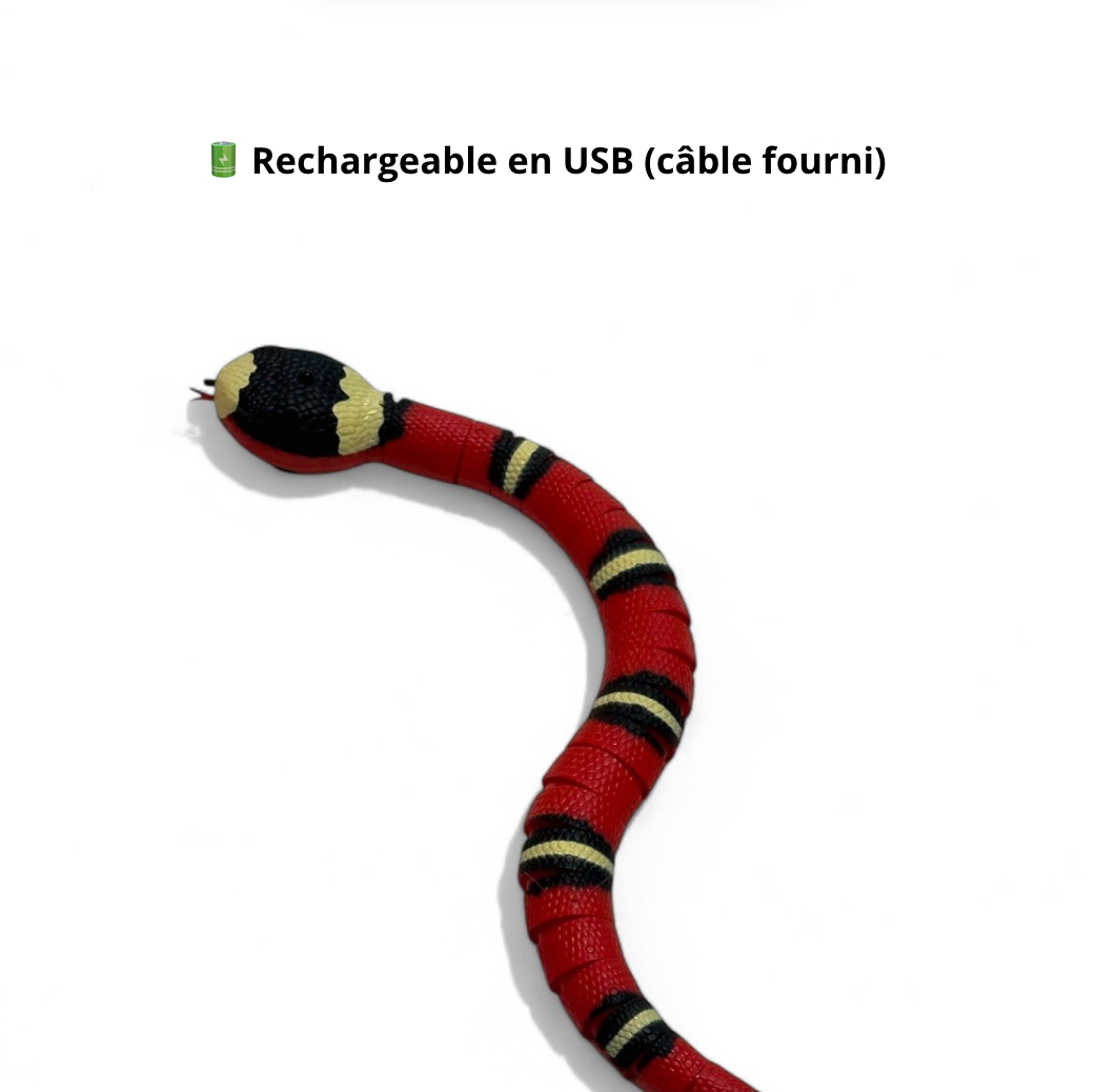Serpent qui Rampe Intelligent - Rechargeable - LePetitChat