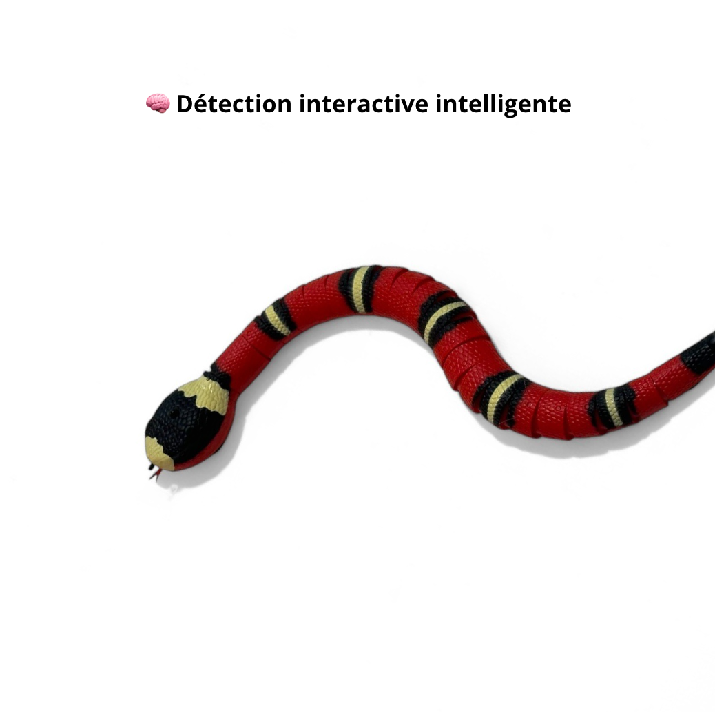 Serpent qui Rampe Intelligent - Rechargeable - LePetitChat