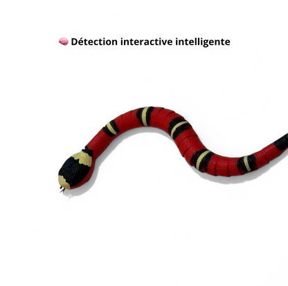 Serpent qui Rampe Intelligent - Rechargeable - LePetitChat